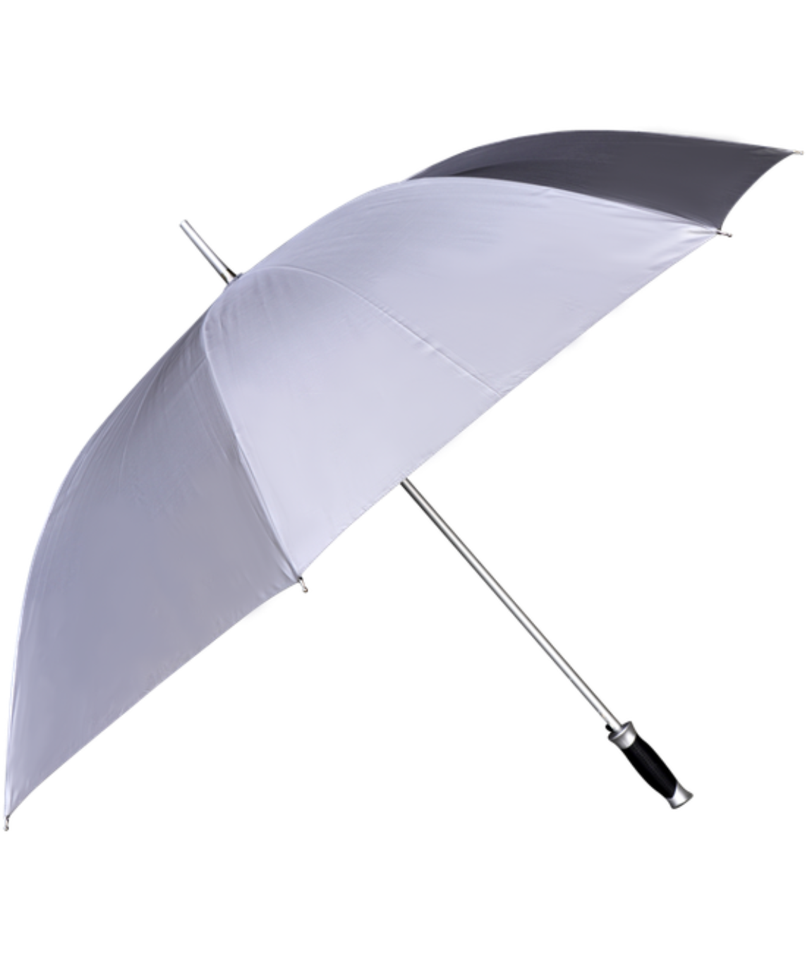 Silver Umbrella