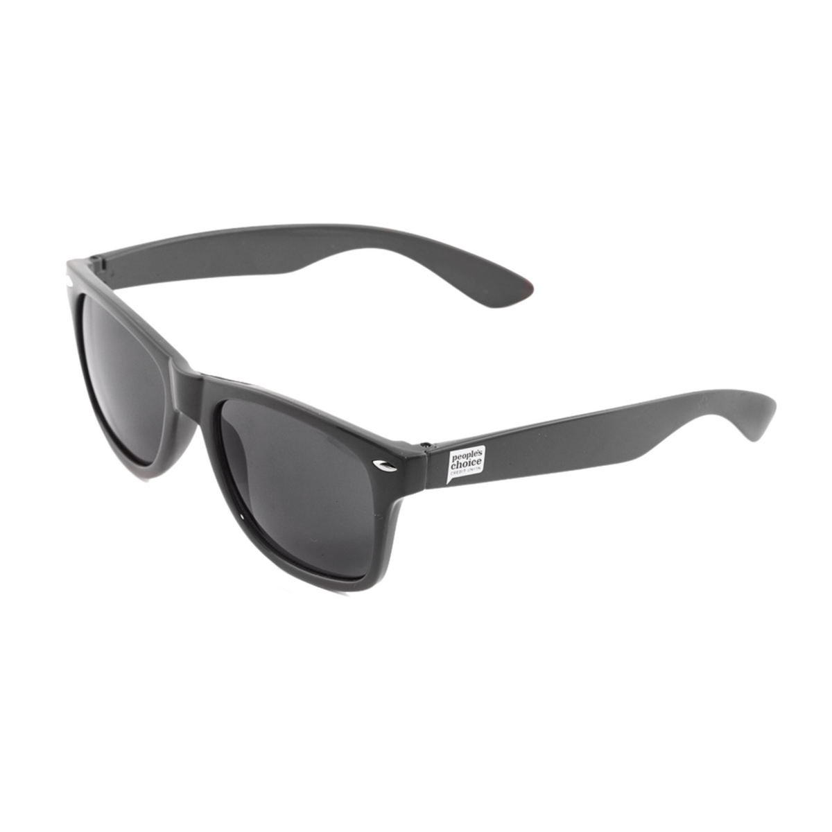 Wayfarer Sunglasses