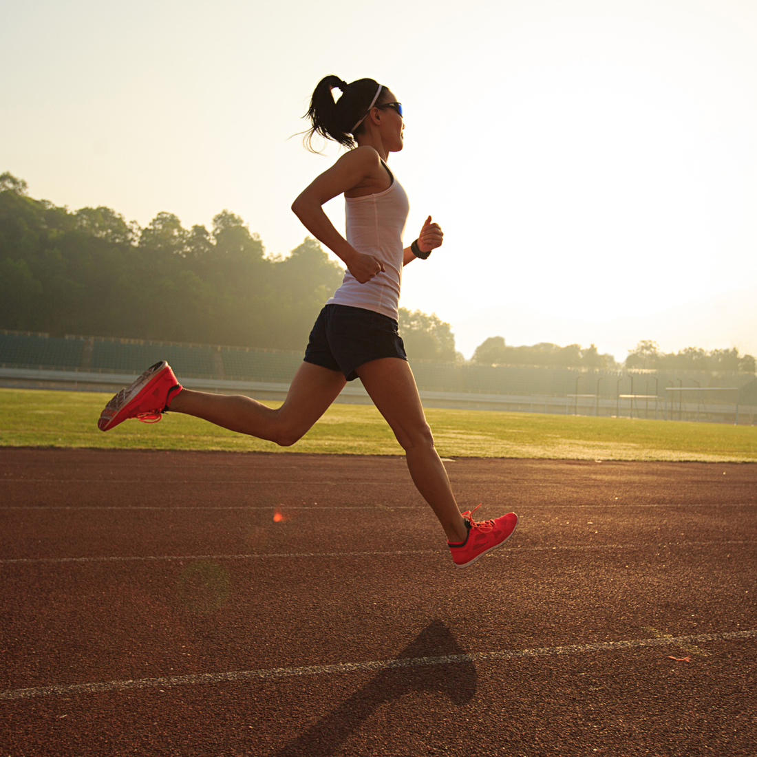 Sports & Fitness